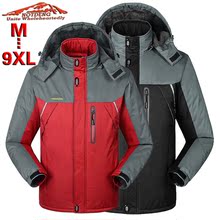 2026年名牌滑雪(图1)